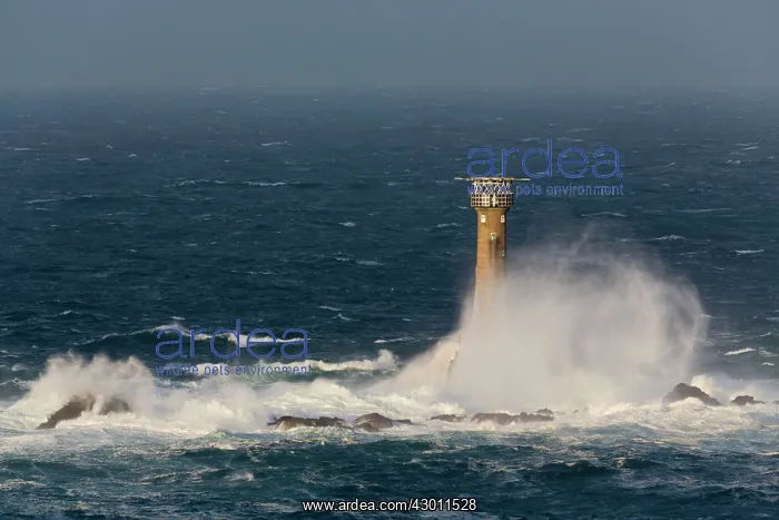 : Longships Lighthouse - and sea spray : Longships Lighthouse - and sea spray