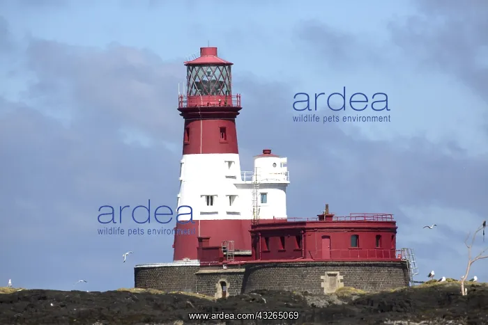 : Longstone lighthouse, Farne Islands, Northumberland : Longstone lighthouse, Farne Islands, Northumberland