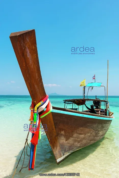 : Longtail boat, fishing boat, wooden boat, boat : Longtail boat, fishing boat, wooden boat, boat
