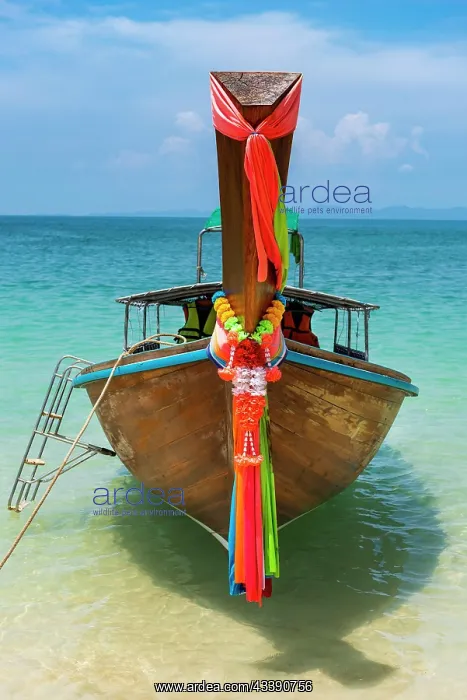 : Longtail boat, fishing boat, wooden boat, boat : Longtail boat, fishing boat, wooden boat, boat