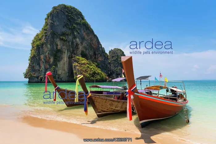 : Longtail boat, fishing boat, wooden boat, boat : Longtail boat, fishing boat, wooden boat, boat