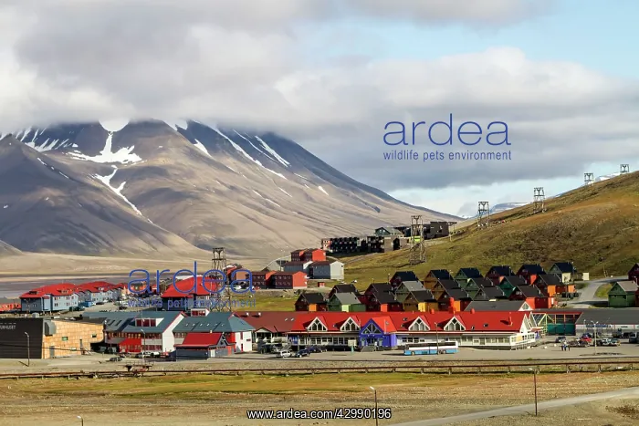 : Longyearbyen - considered as the most Northerly : Longyearbyen - considered as the most Northerly