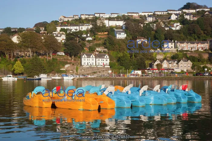 : Looe - lake and village : Looe - lake and village