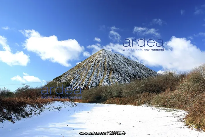 : Looking like a Pyramid a mound of Clay waste at a China Clay : Looking like a Pyramid a mound of Clay waste at a China Clay