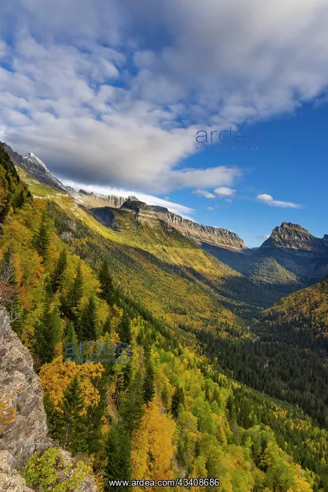 : Looking down the McDonald Valley in autumn, Glacier : Looking down the McDonald Valley in autumn, Glacier