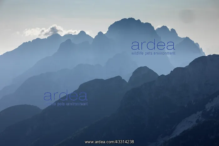 : Looking south-west from Mangart, Julian Alps, Sl : Looking south-west from Mangart, Julian Alps, Sl