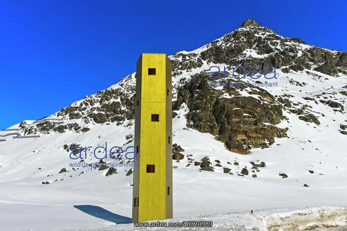 : Lookout Las Colonnas, Bivio, Julier Pass, Canton : Lookout Las Colonnas, Bivio, Julier Pass, Canton