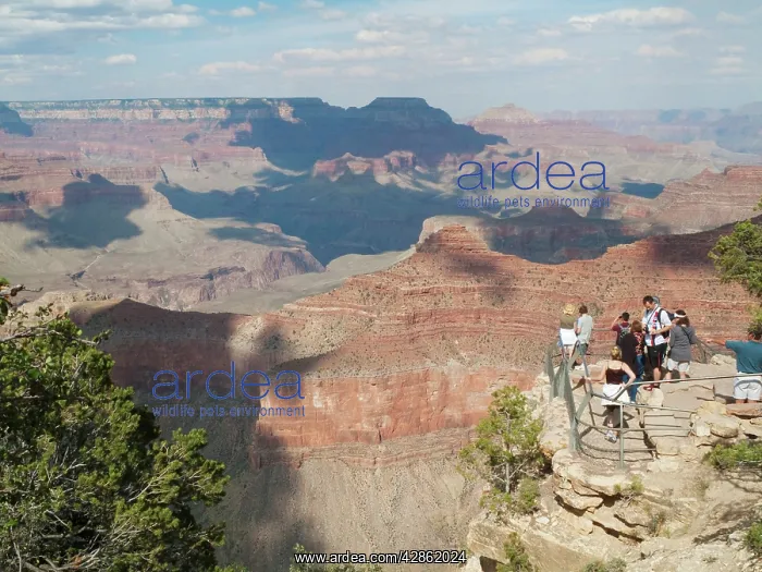 : Lookout Platform - Javapai Point at the South Rim : Lookout Platform - Javapai Point at the South Rim