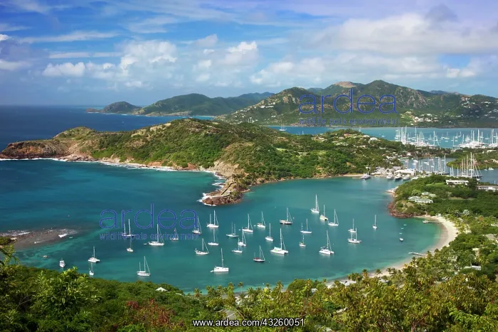 : Lookout view from Shirley Heights over Admiral : Lookout view from Shirley Heights over Admiral