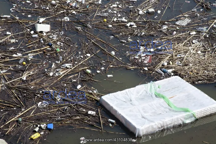 : Los Angeles River Pollution : Los Angeles River Pollution