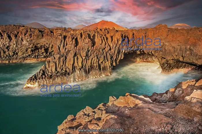 : Los Hervideros, lava rock coast in last light at : Los Hervideros, lava rock coast in last light at