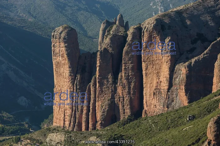 : Los Mallos de Riglos, conglomerate rocks, height : Los Mallos de Riglos, conglomerate rocks, height