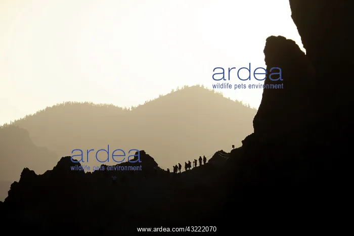  : Los Roques de Garcia, Teide National Park, Tenerife