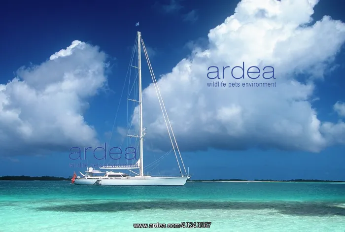  : Los Roques Islands, Venezuela