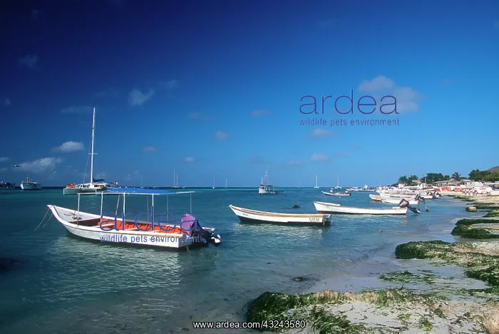 : Los Roques Islands, Venezuela : Los Roques Islands, Venezuela