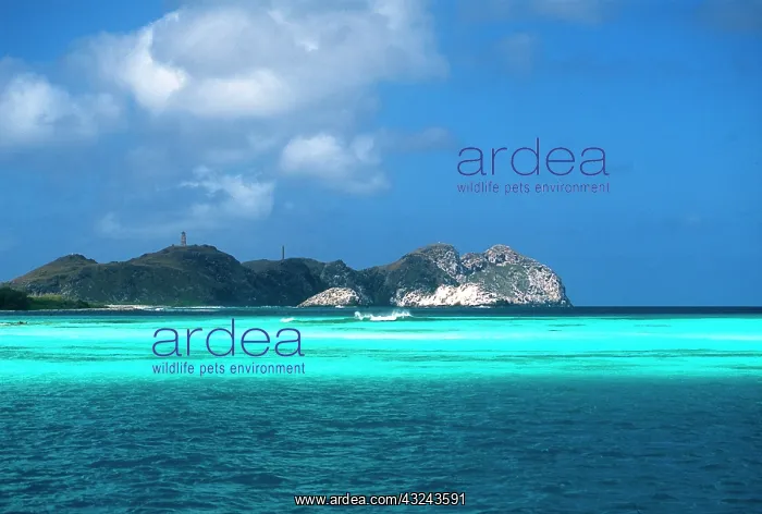 : Los Roques Islands, Venezuela : Los Roques Islands, Venezuela