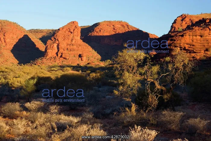 : Lost City at sunset - ancient sandstone formations : Lost City at sunset - ancient sandstone formations