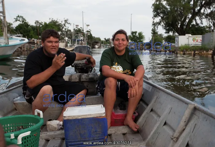 : Louisiana Shrimpers : Louisiana Shrimpers
