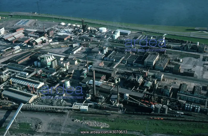 : Love Canal : Love Canal