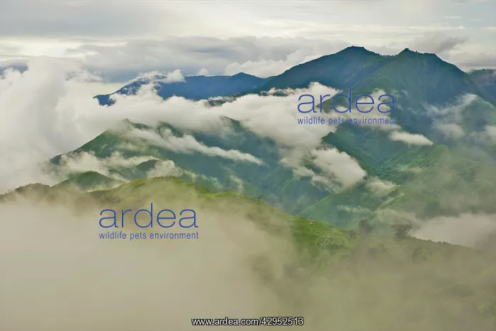 : Low cloud over Livingstone mountains : Low cloud over Livingstone mountains