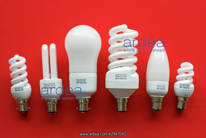 : Low Enrgy Light Bulbs - variety of different sized : Low Enrgy Light Bulbs - variety of different sized