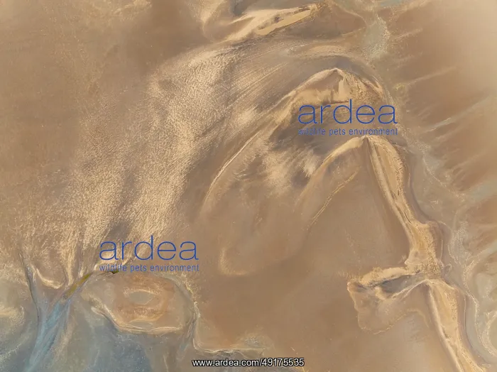 : Low tide patterns in the ground of the Walvis Bay Lagoon : Low tide patterns in the ground of the Walvis Bay Lagoon
