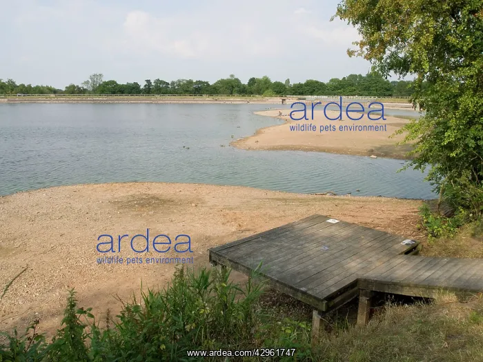 : Low water in reservoir - fishing platform - Engine Lake : Low water in reservoir - fishing platform - Engine Lake