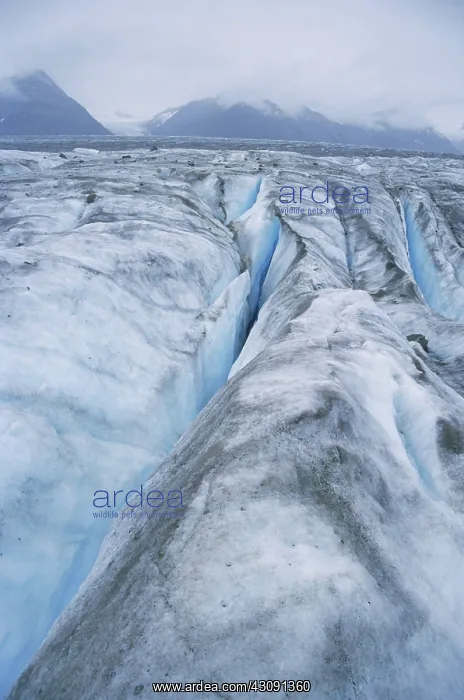 : Lowell Glacier : Lowell Glacier