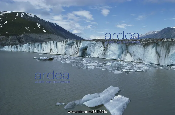 : Lowell Glacier : Lowell Glacier