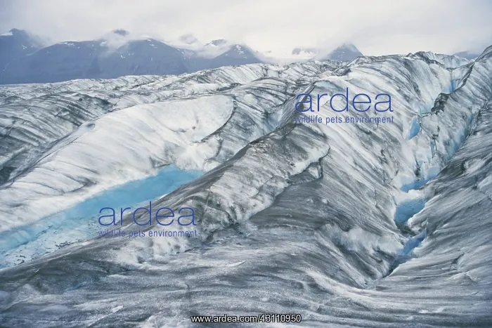 : Lowell Glacier : Lowell Glacier