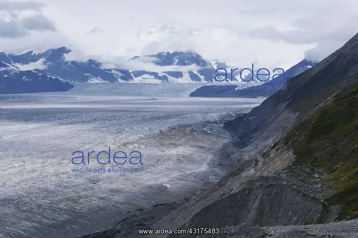 : Lowell Glacier : Lowell Glacier