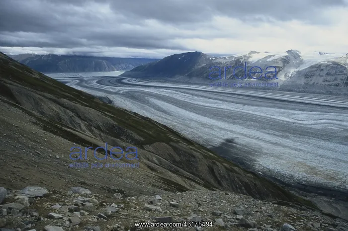  : Lowell Glacier