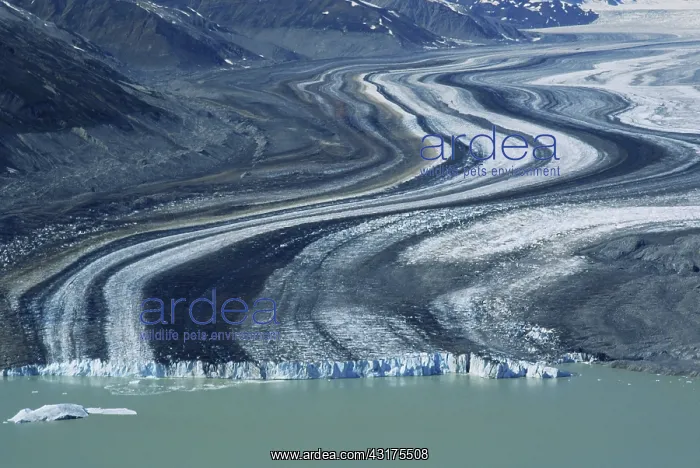 : Lowell Glacier : Lowell Glacier