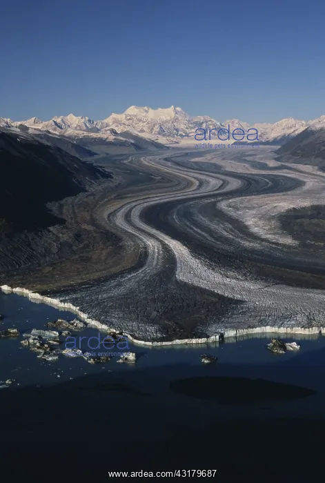 : Lowell Glacier : Lowell Glacier