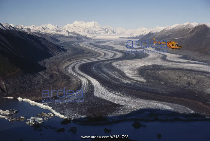 : Lowell Glacier : Lowell Glacier