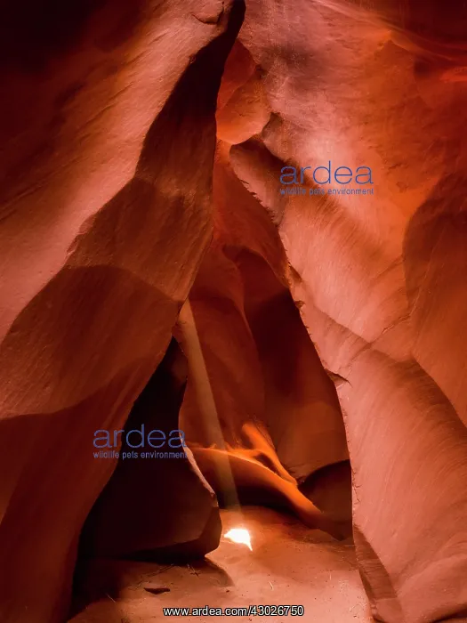 : Lower Antelope Canyon : Lower Antelope Canyon