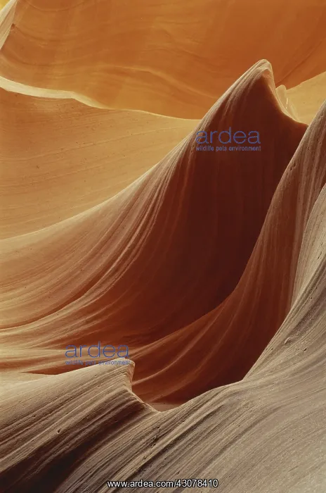: Lower Antelope Canyon, Arizona : Lower Antelope Canyon, Arizona