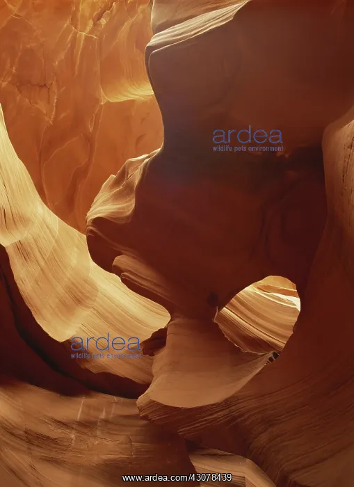 : Lower Antelope Canyon, Arizona : Lower Antelope Canyon, Arizona