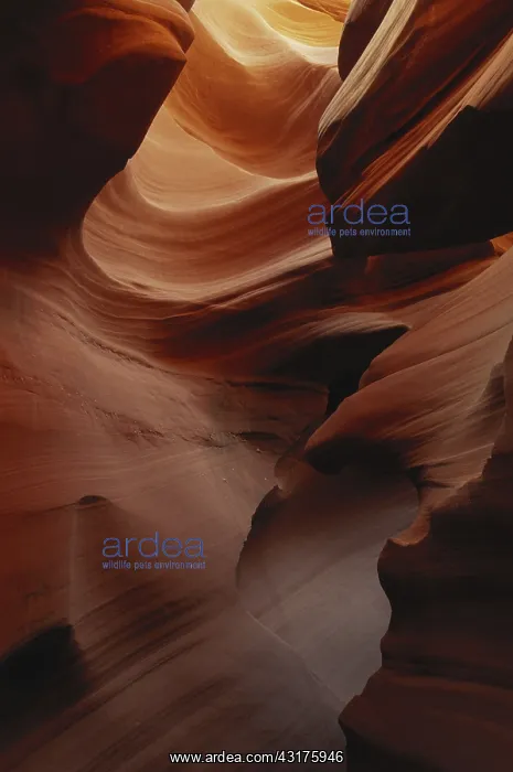 : Lower Antelope Canyon, Arizona : Lower Antelope Canyon, Arizona