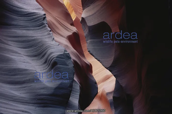 : Lower Antelope Canyon, Arizona : Lower Antelope Canyon, Arizona