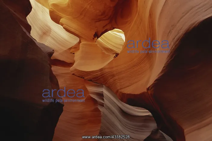  : Lower Antelope Canyon, Arizona