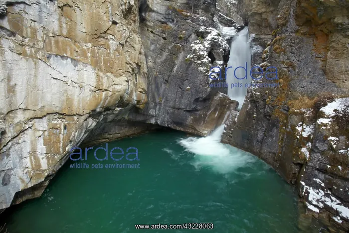 : Lower Falls, Johnston Canyon in winter : Lower Falls, Johnston Canyon in winter