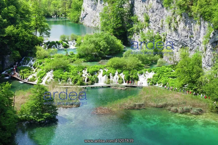 : The lower lakes, Gavanovac Lake and Milanovac Lake : The lower lakes, Gavanovac Lake and Milanovac Lake