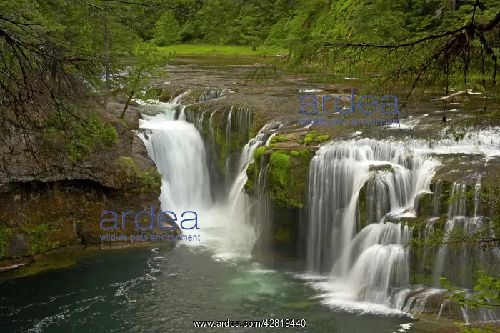 : Lower Lewis Falls : Lower Lewis Falls
