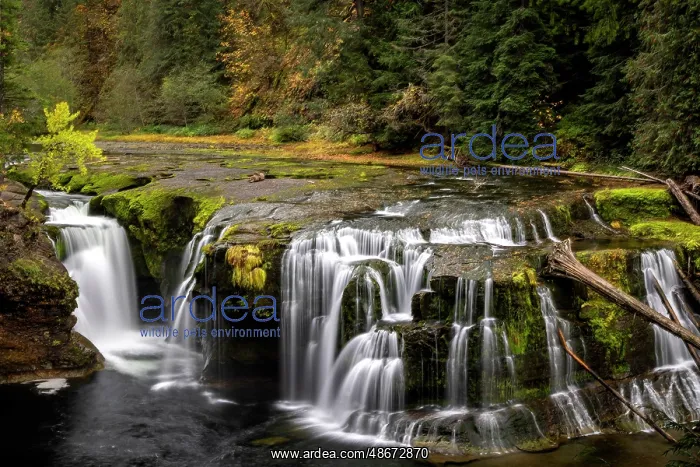: Lower Lewis River Falls in autumn in the Gifford Pinchot : Lower Lewis River Falls in autumn in the Gifford Pinchot