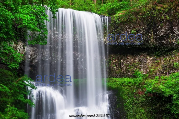 : Lower South Falls, Silver Falls State Park, Oregon : Lower South Falls, Silver Falls State Park, Oregon