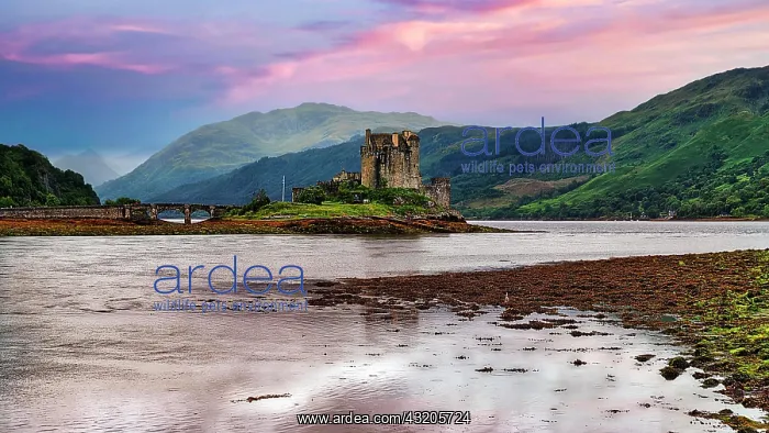 : Lowland Castle by the Lake, Eilean Donan Castle : Lowland Castle by the Lake, Eilean Donan Castle