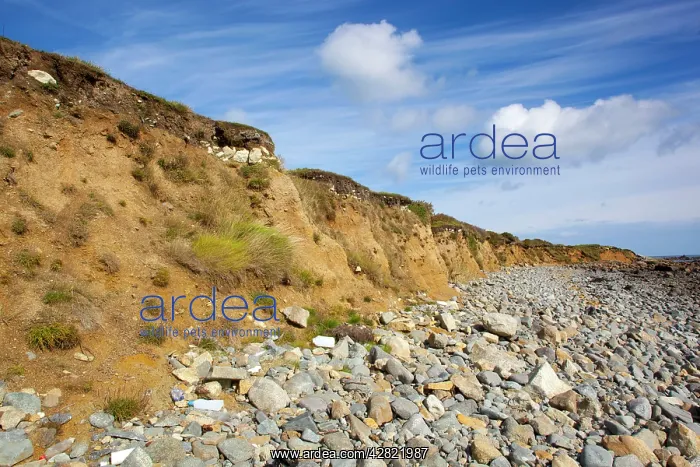 : Lowland Point - Periglacial Ram Cliffs : Lowland Point - Periglacial Ram Cliffs