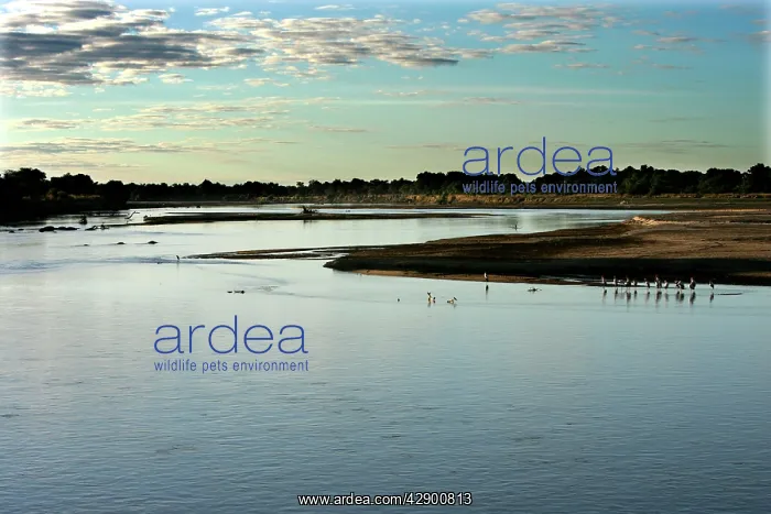 : Luangwa River - South Luangwa Valley National Park : Luangwa River - South Luangwa Valley National Park