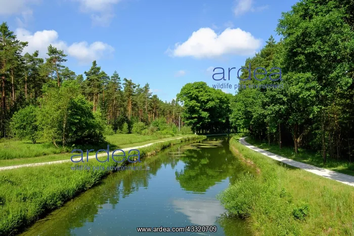 : Ludwig-Danube-Main-Canal near Schwarzenbruck, Middle : Ludwig-Danube-Main-Canal near Schwarzenbruck, Middle
